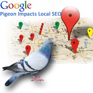 Google Pigeon Update Impact on Business